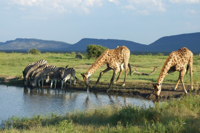 3 day Kruger Private Lodge Safari